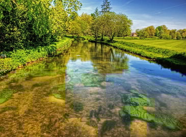 Nature and Health